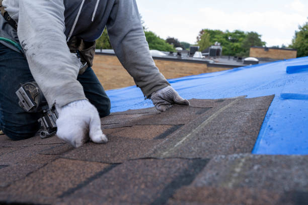 Best Roof Maintenance Services  in Hoer, OK
