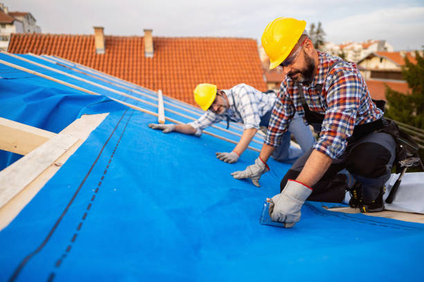 Best Gutter Installation and Roofing  in Hoer, OK