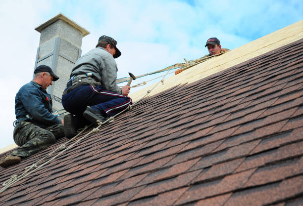 Best Flat Roof Repair Services  in Hoer, OK
