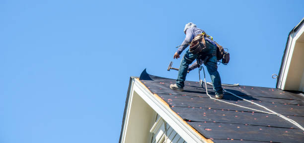 Best Roof Repair Services  in Hoer, OK